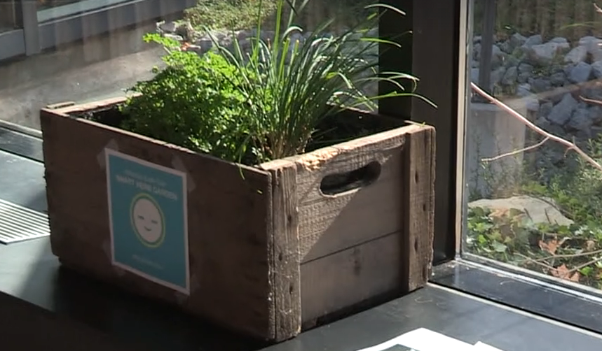 Self-Watering Arduino Herb Garden